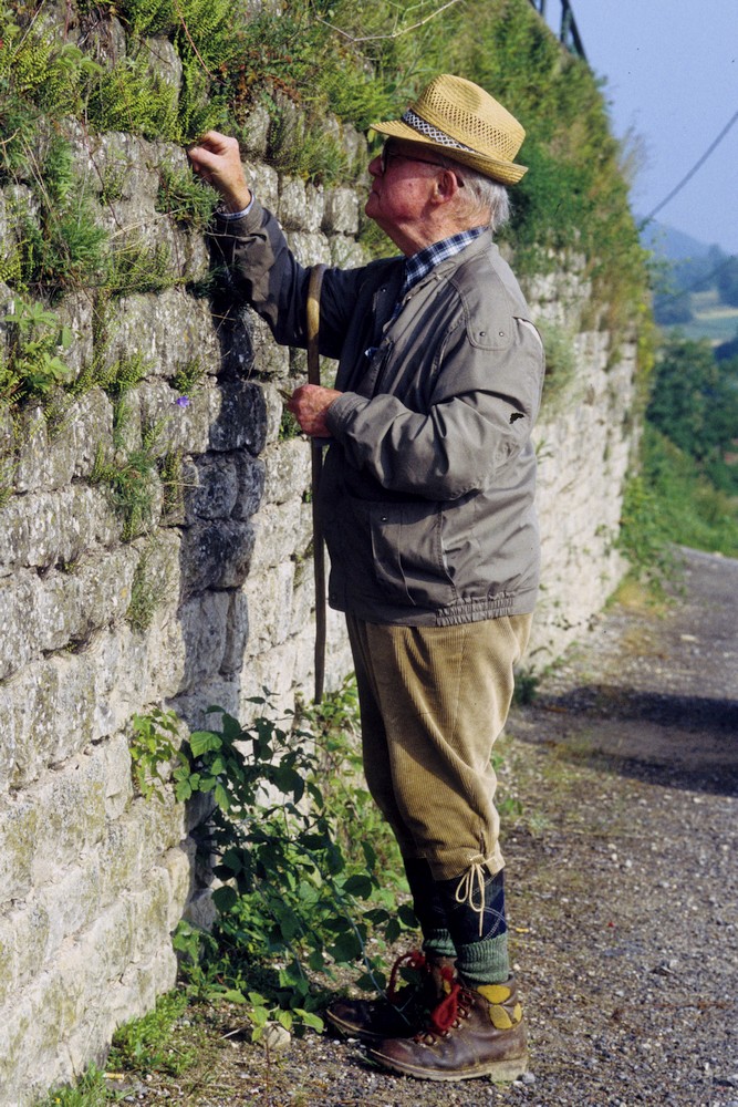 Dr. h.c. Paul Haffner